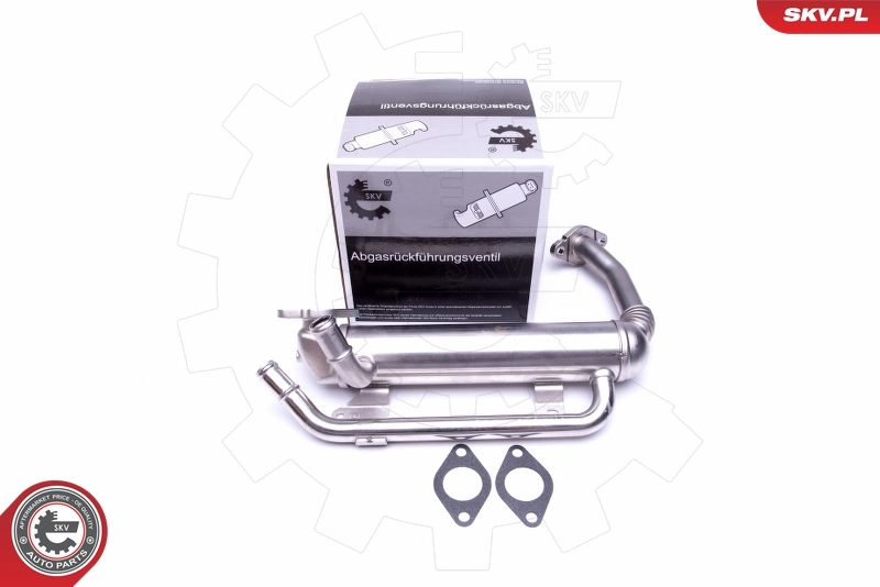 EGR Valve